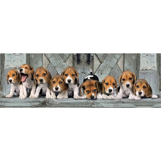Пазл собаки 1000 элементов Clementoni Beagles 1000 Teile