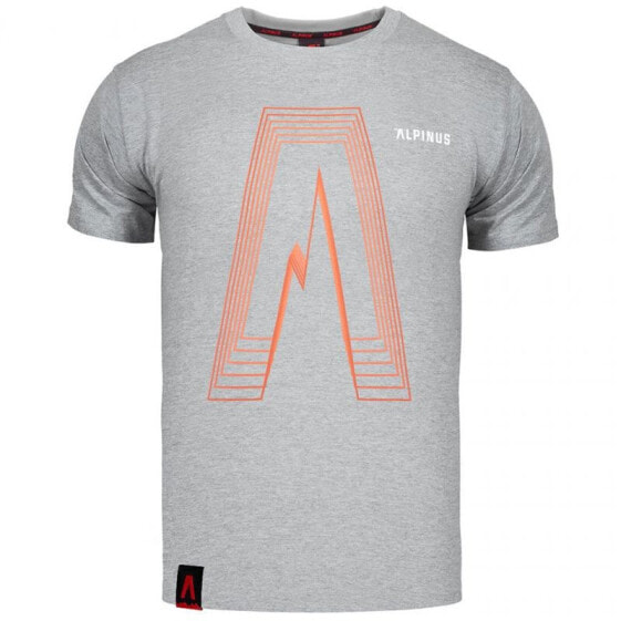 Мужская футболка спортивная серая с графическим принтом на груди я Alpinus Altai gray T-shirt M ALP20TC0035
