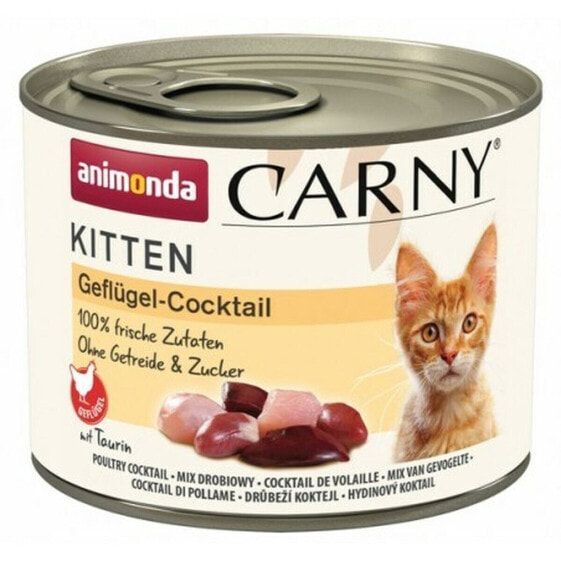 Влажный корм для котят Animonda Carny с птицей 200 г