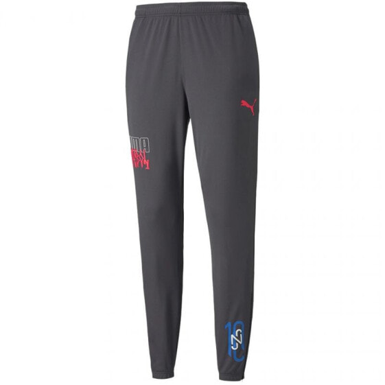 Puma Neymar Jr Futebol Training Pant M 605600 07