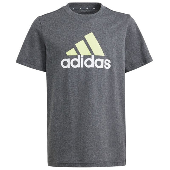 T-shirt adidas Big Logo Tee Jr IJ6286