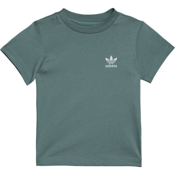 ADIDAS ORIGINALS Adicolor short sleeve T-shirt