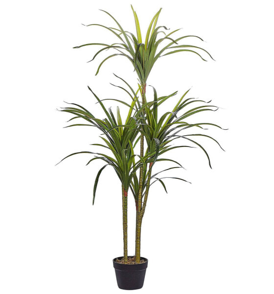 Искусственные цветы Beliani Kunstpflanze DRACAENA ANITA