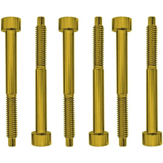 Floyd Rose FROSLSGDP String Lock Screws