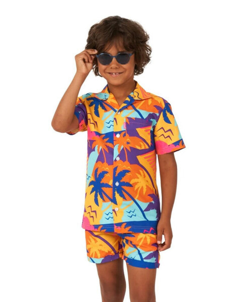 Little Boys 2 Pc Summer Shirt and Shorts Set