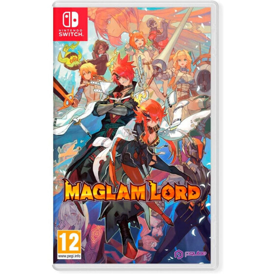 NINTENDO GAMES Switch Maglam Lord