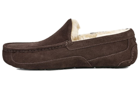 UGG Ascot Slipper 1101110-ESP Cozy Comfort Slippers