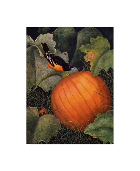 Marcia Matcham Oriole and Pumpkin Canvas Art - 37" x 49"