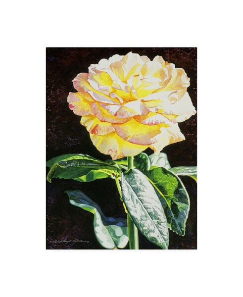 David Lloyd Glover Midnight Rose Canvas Art - 15" x 20"