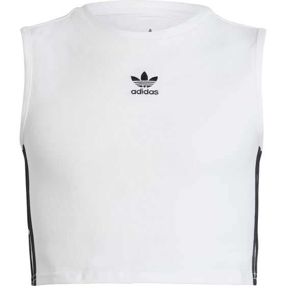 ADIDAS ORIGINALS Adicolor Crop sleeveless T-shirt