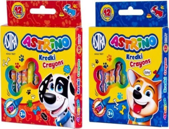 Цветные карандаши графитные 12 цветов Astrino Astra TARGI