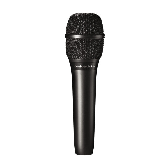 Audio-Technica Mikrofon AT2010 - Microphone