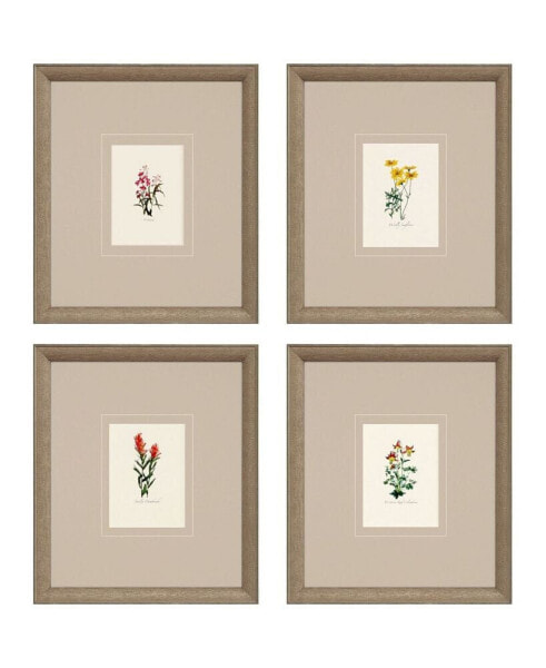 Western Wildflower Framed Art, Set of 4