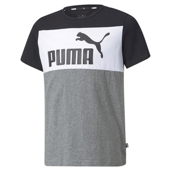 PUMA Essential+Colorblock short sleeve T-shirt