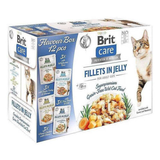 BRIT Care Fillets in Jelly Flavour 85g wet food for cat