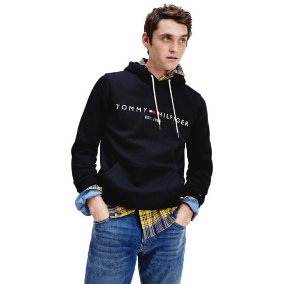 TOMMY HILFIGER Core Logo hoodie