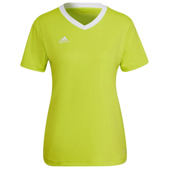 ADIDAS Entrada 22 short sleeve T-shirt