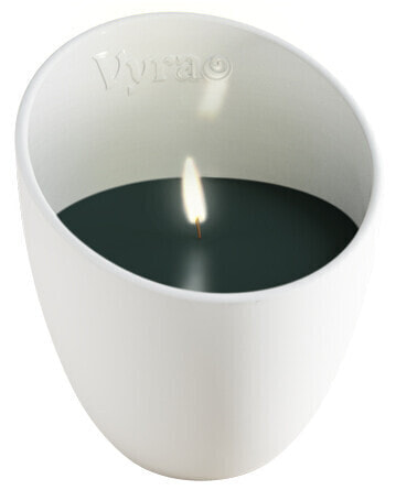 EMBER Candle