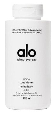 Shine Conditioner