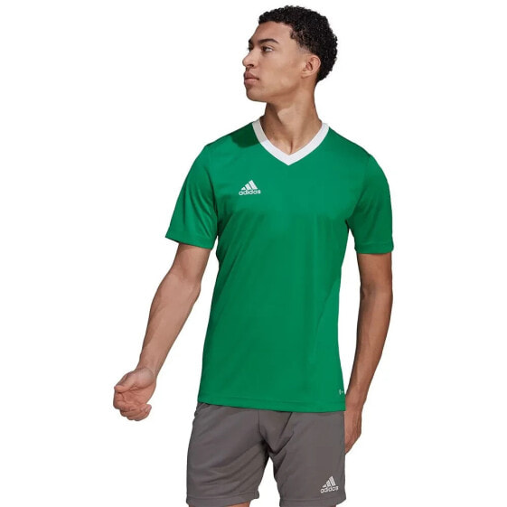 ADIDAS Entrada 22 short sleeve T-shirt