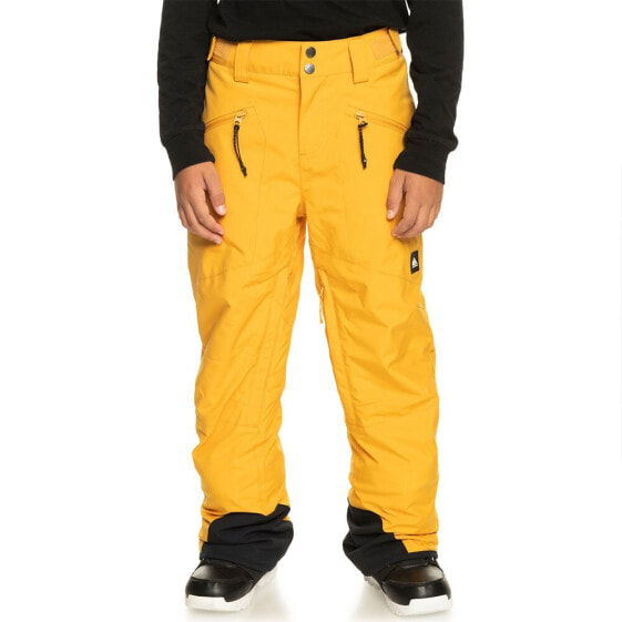 QUIKSILVER Boundry Pants