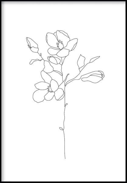 Magnolia Linienkunst Poster