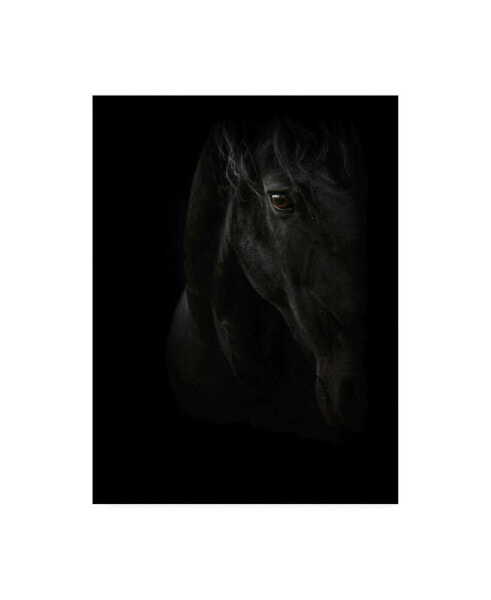 PhotoINC Studio Black Pearl Canvas Art - 19.5" x 26"
