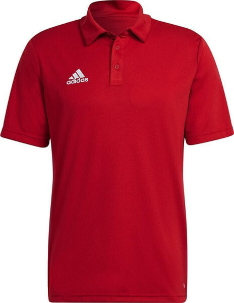 Adidas Koszulka adidas ENTRADA 22 Polo H57489 H57489 czerwony XXL