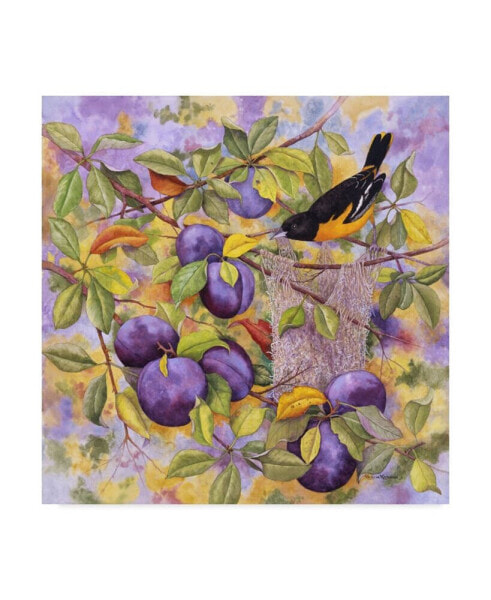 Marcia Matcham Oriole and Plums Canvas Art - 15" x 20"