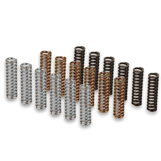 MALOSSI 2913327 Clutch Spring Kit