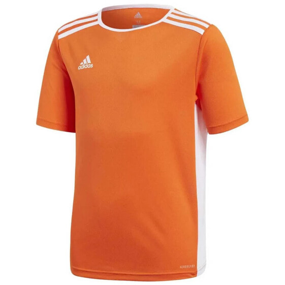 ADIDAS Entrada 18 short sleeve T-shirt