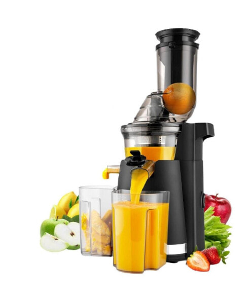 Slow Juicer Cold Press for Fruits & Vegetables