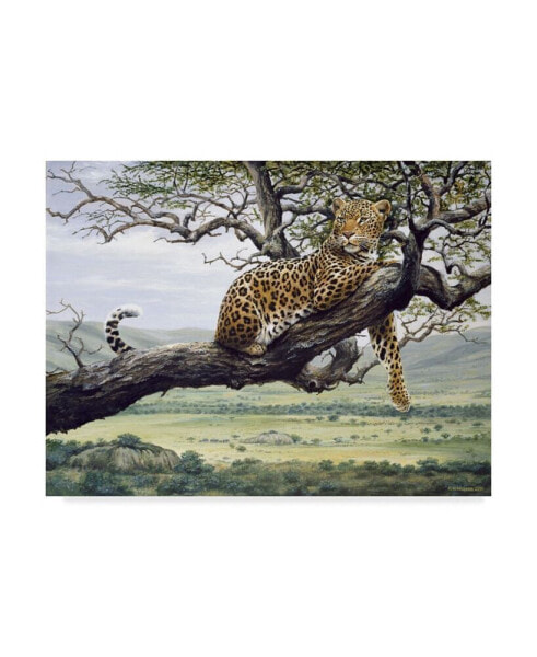 Картина на холсте Trademark Global Harro Maass "Леопард на дереве" - 47" x 35"