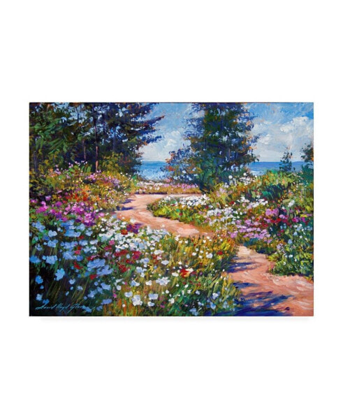 David Lloyd Glover The Pathway to The Sea Canvas Art - 20" x 25"