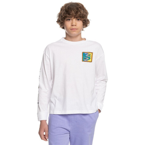 QUIKSILVER Radical Times long sleeve T-shirt