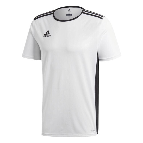 ADIDAS Entrada 18 short sleeve T-shirt