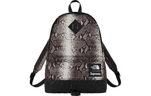 Рюкзак Supreme SS18 x North Face Snakeskin Lightweight Day Pack LOGO SUP-SS18-388