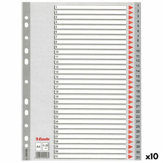 Сепараторы Esselte 1-31 нумерованные Серые A4 31 лист (10 шт)