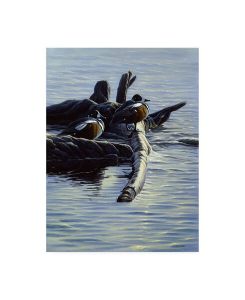 Michael Budden Harlequin Ducks Canvas Art - 20" x 25"