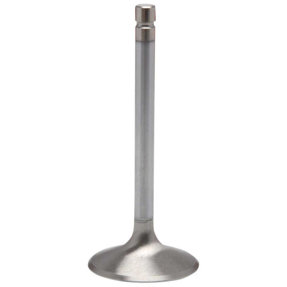 KIBBLEWHITE 40-4281H Intake Valve