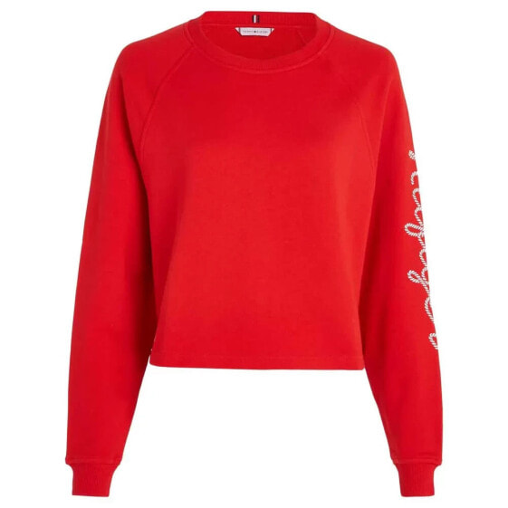 TOMMY HILFIGER Reg Rope Puff Print sweatshirt