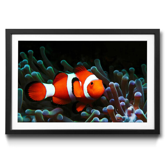 Картина WandbilderXXL Nemo в раме