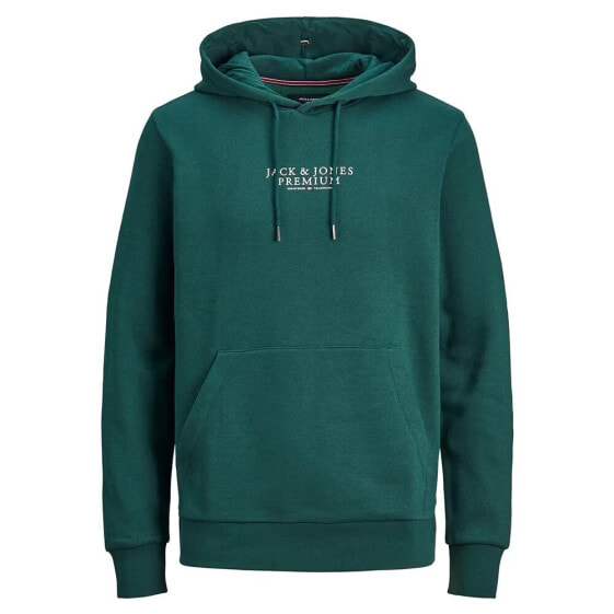 JACK & JONES Bluarchie hoodie