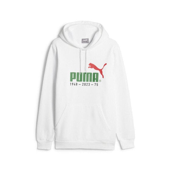 Puma No. 1 Logo Celebration Pullover Hoodie Mens White Casual Outerwear 67602102