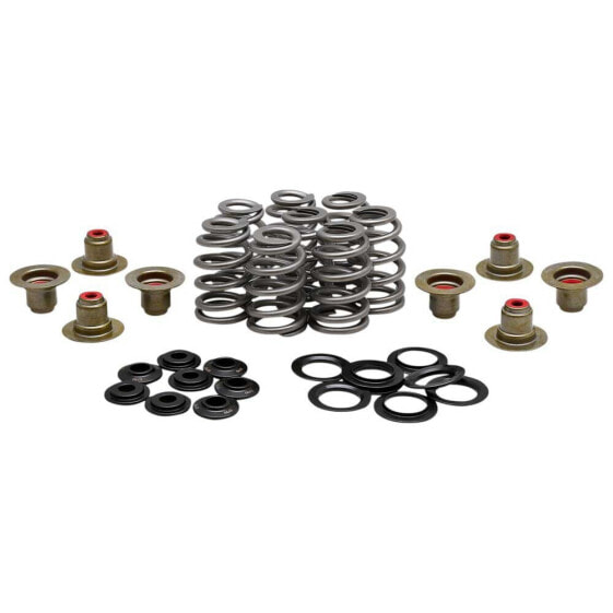 KIBBLEWHITE 20-21850 Valve Springs&Washers