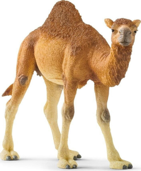 Фигурка Schleich Верблюд Дромадер Camel Dromedary (Верблюды)