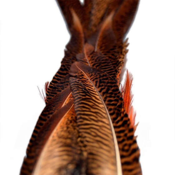 BAETIS Male Pheasant Tail Feather
