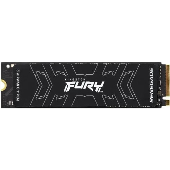 KINGSTON Interne SSD FURY Renegade 1 TB M.2 NVMe (SFYRS/1000G)