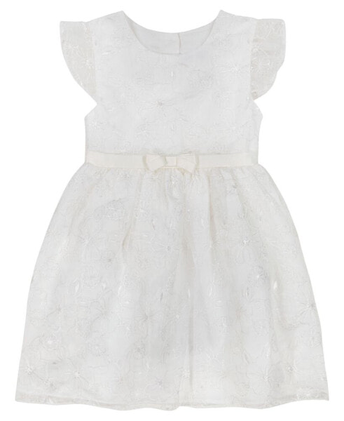 Toddler Girls Organza Embroidered Flutter Sleeve Fit-and-Flare Dress
