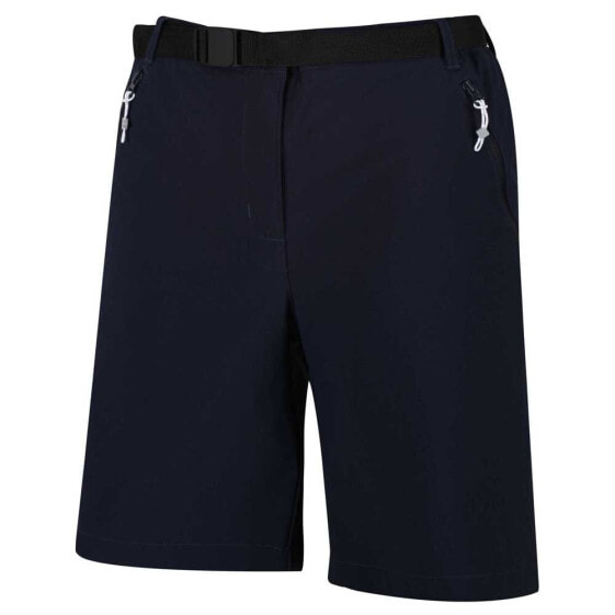 REGATTA Xert Stretch III Shorts Pants